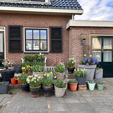 Flowerbed Voorhout Εξωτερικό φωτογραφία