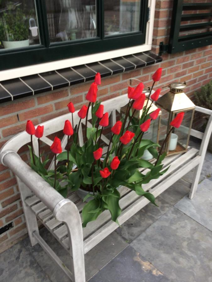 Flowerbed Voorhout Εξωτερικό φωτογραφία