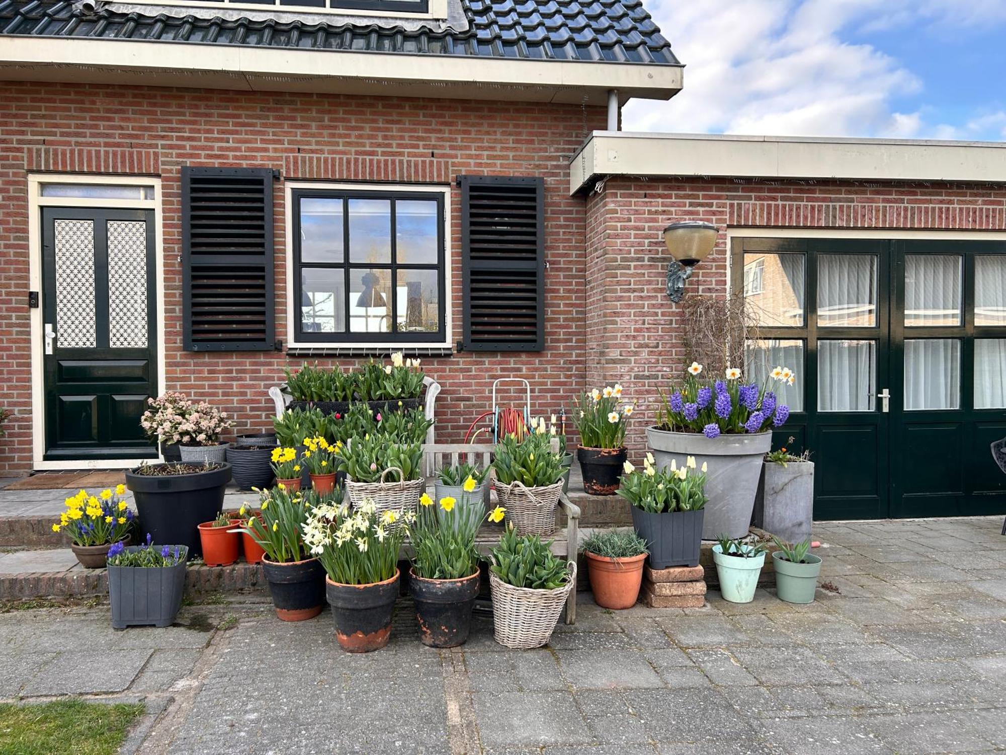 Flowerbed Voorhout Εξωτερικό φωτογραφία